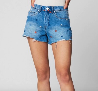 BlankNYC The Barrow Vintage High Rise Embroidered Denim Shorts Size 26 27  or 28