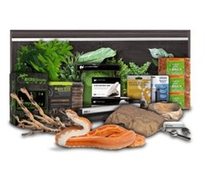 Swell Reptiles Corn Snake Adult Starter Kit