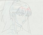 The Twelve Kingdoms Juuni Kokki Genga Douga Original Sketches Pierrot - Youko — photo 7