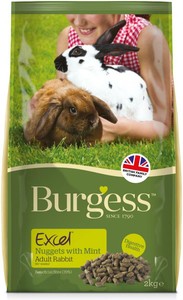 burgess excel