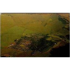 Lanai City Island Of Lanai Hawaii World Pineapple Capital Vintage Postcard SPK13