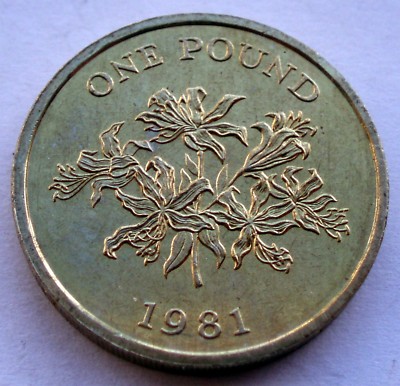 GUERNSEY 1 POUND 1981 KM#37 K9.6