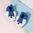 Foto 12 di 26