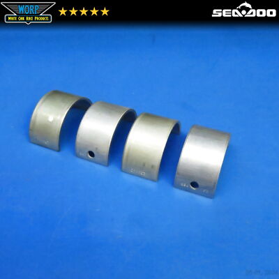 4 NEW SEA-DOO BRP BOMBARDIER GENUINE CRANKSHAFT PLAIN BEARINGS OEM 20233960