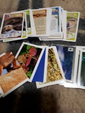 Figurine e cards Wwf coop