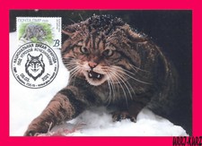 Tarjeta MaxiCard TRANSNISTRIA 2021 Naturaleza Fauna Animales Mamíferos Bosque Salvaje Gato