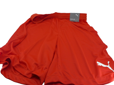 Puma Team FINAL 21 Mens Red Knit Shorts (choose size) New