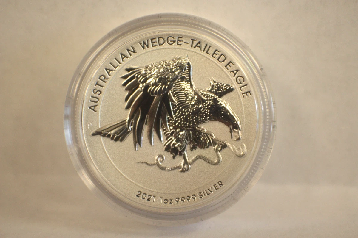 Wedge Tailed Eagle for sale | eBay