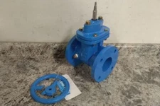 Watts NRS-RW-Gate 3" 3 In Nominal Valve Size Cast Iron Body Gate Valve