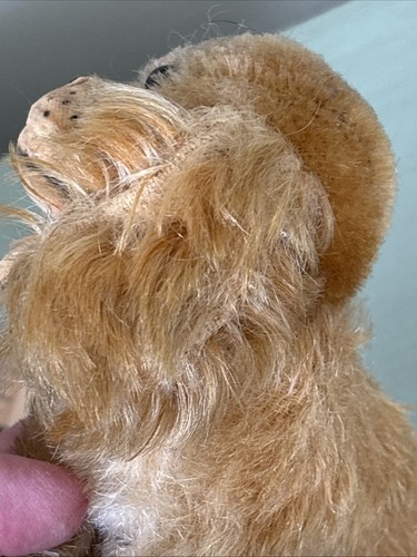 Vintage Stuffed Animal Steiff Germany Toy Mohair Cockie Cocker Spaniel Dog NoTag - Picture 24 of 24