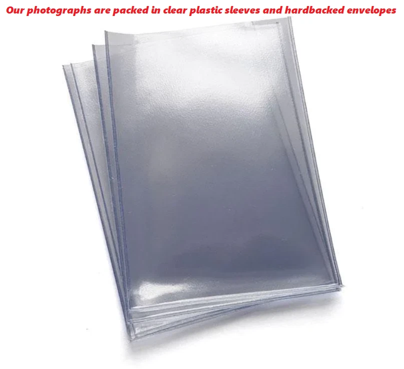 The Lady and the Lion by Arthur Rackham, 1909 • Poster Wall Art Deco • A4 Print - Image 4 of 4