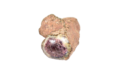 RARE 26.9 Gr. Ruby in Zoisite Twinned Crystal, One End Polished