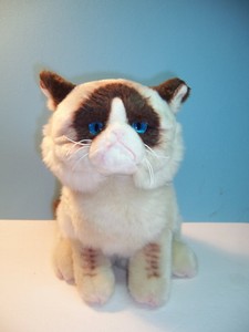 plush grumpy cat