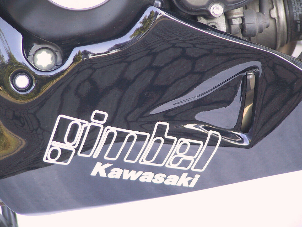 Gimbel Belly Pan Kawasaki Z 1000 (ZRT00A) | 03-06 Gimbel Belly Pan Kawasaki Z 1000 (ZRT00A) | 03-06