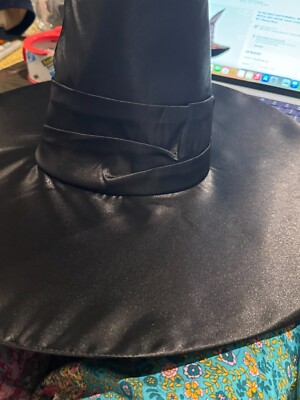 Oz ThE GrEaT AnD PoWeRfuL~WICKED WITCH~HAT+HOOD~Adult~Child  display picture 1