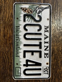 Maine Vanity License Plate 2CUTE4U Expired Over 3 Years