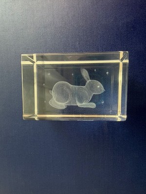 Vintage Bunny Rabbit 3D Laser Etched K9 Crystal Glass Paperweight Wildlife