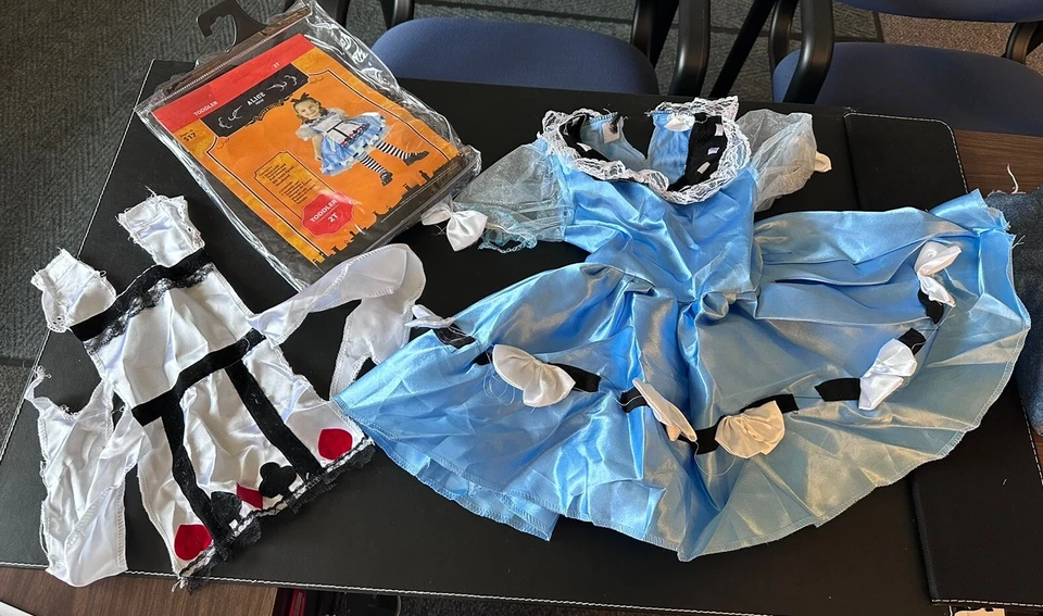 2010 Deluxe Alice In Wonderland Toddler Girls Halloween Costume 2T - Image 4 of 4