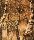 Vintage Picture Weekly Puzzle Complete Name (woodland Scene ) — photo 6