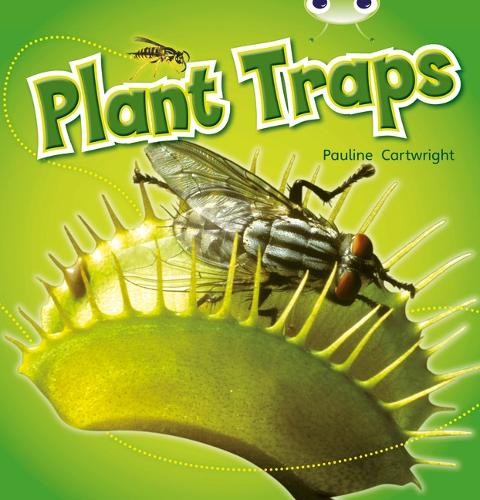 Bug Club Non-fiction Blue (KS1) B/1B Plant Traps 6-pack by Pa... - 9780433014874