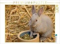 Calvendo Puzzle Niedliche Kaninchenkinder 1000 Teile Puzzle Quer | 1000 Teile Le