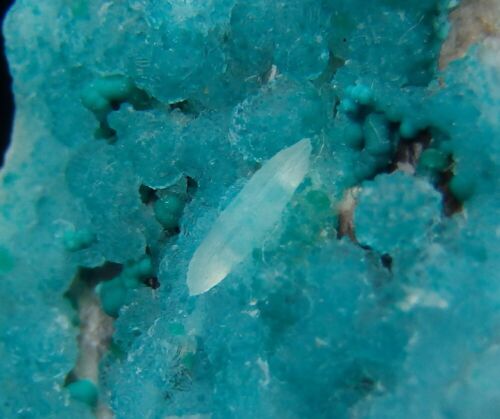 HEMIMORPHIT --- TOLLE FARBE!!! - KONGO M`fouati District - Palabanda /ph676 - Bild 12 von 12