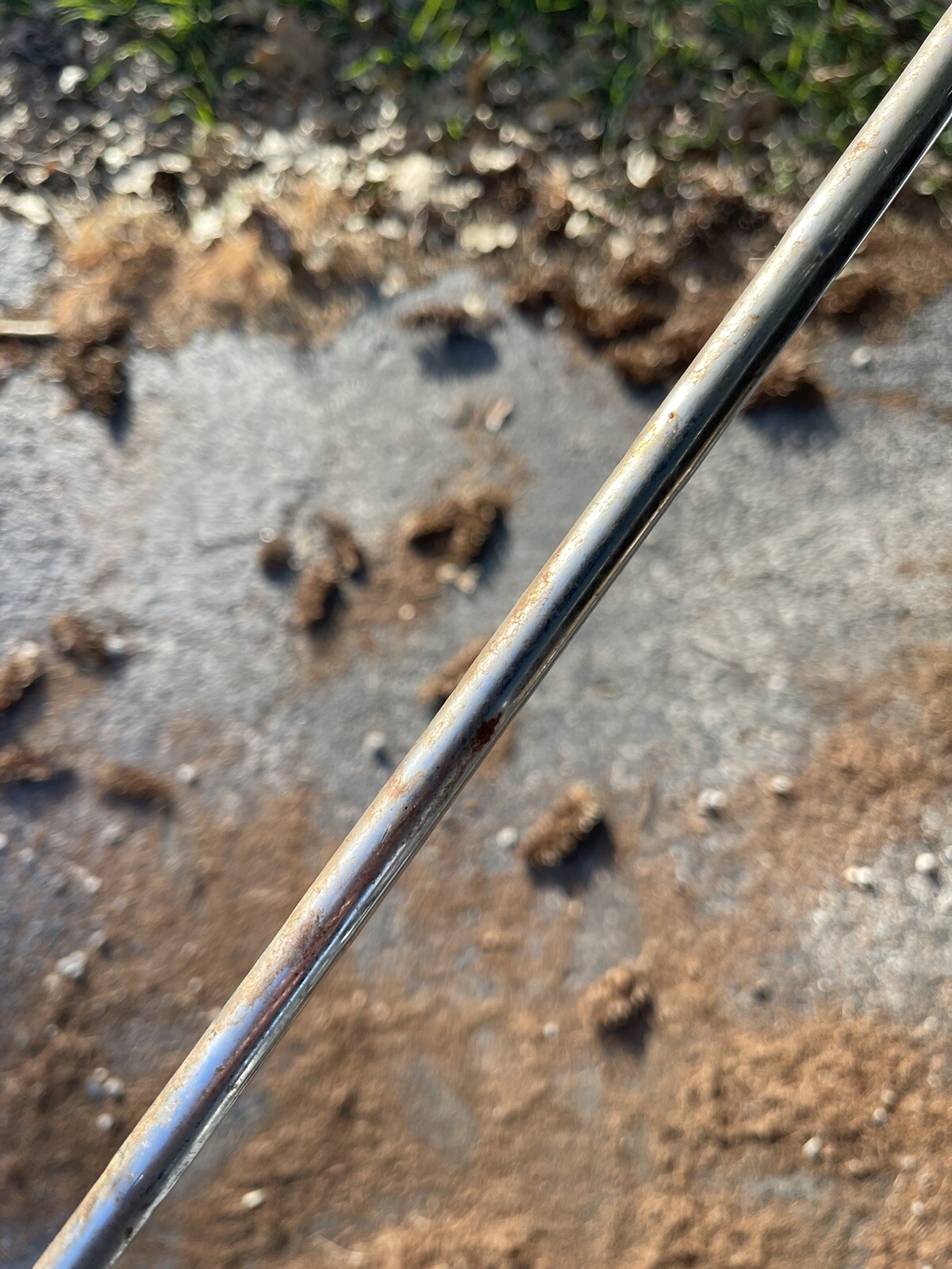 Picture 4 of 6