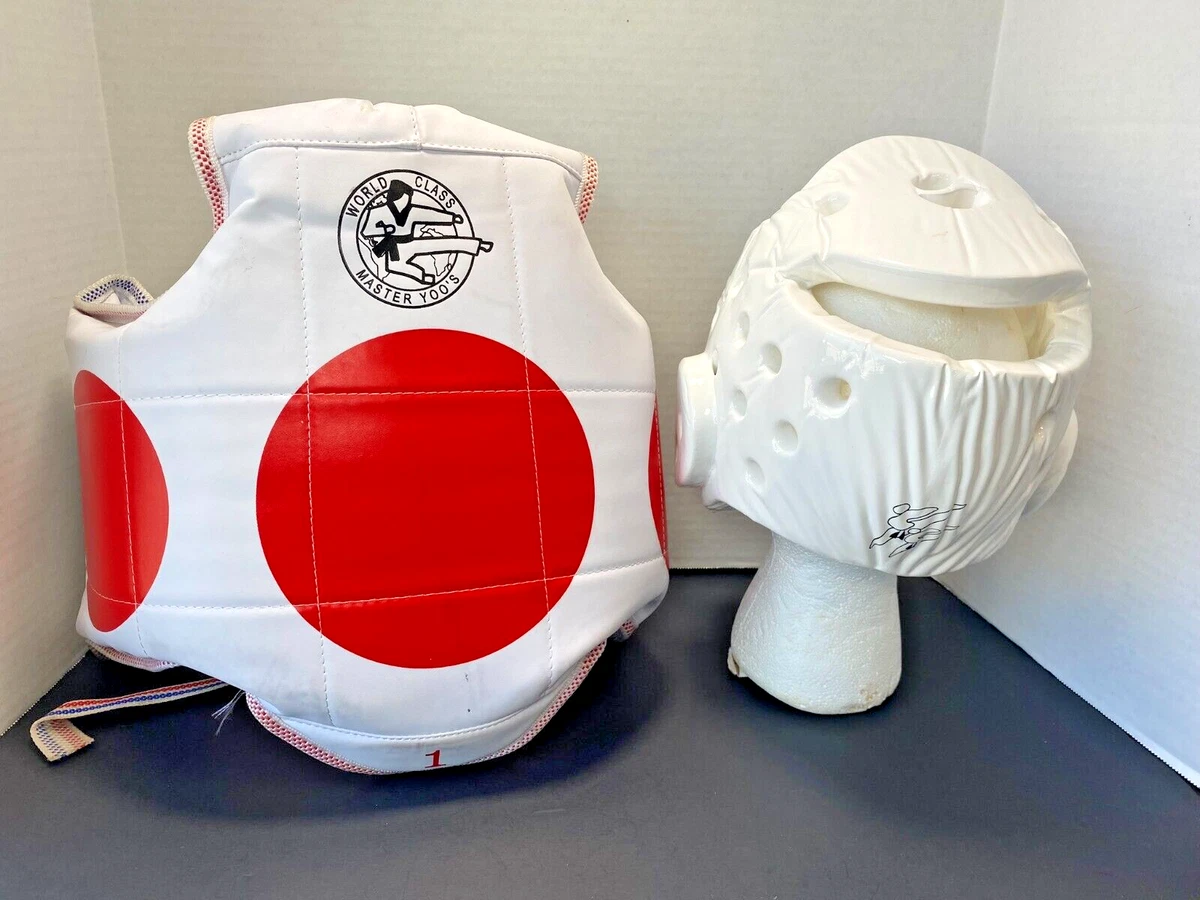 Martial arts on sale protective gear
