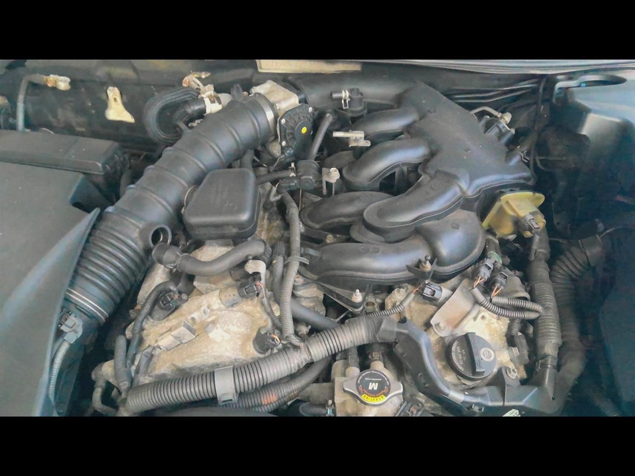 Picture 7 of 12