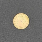 Old Vintage 1883 Liberty Head Gold Plated Nickel US Coin Collectible