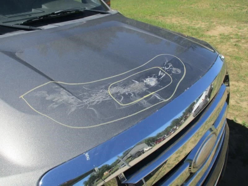 F150 2009 Carpet Front 347619 Foto 4 de 4