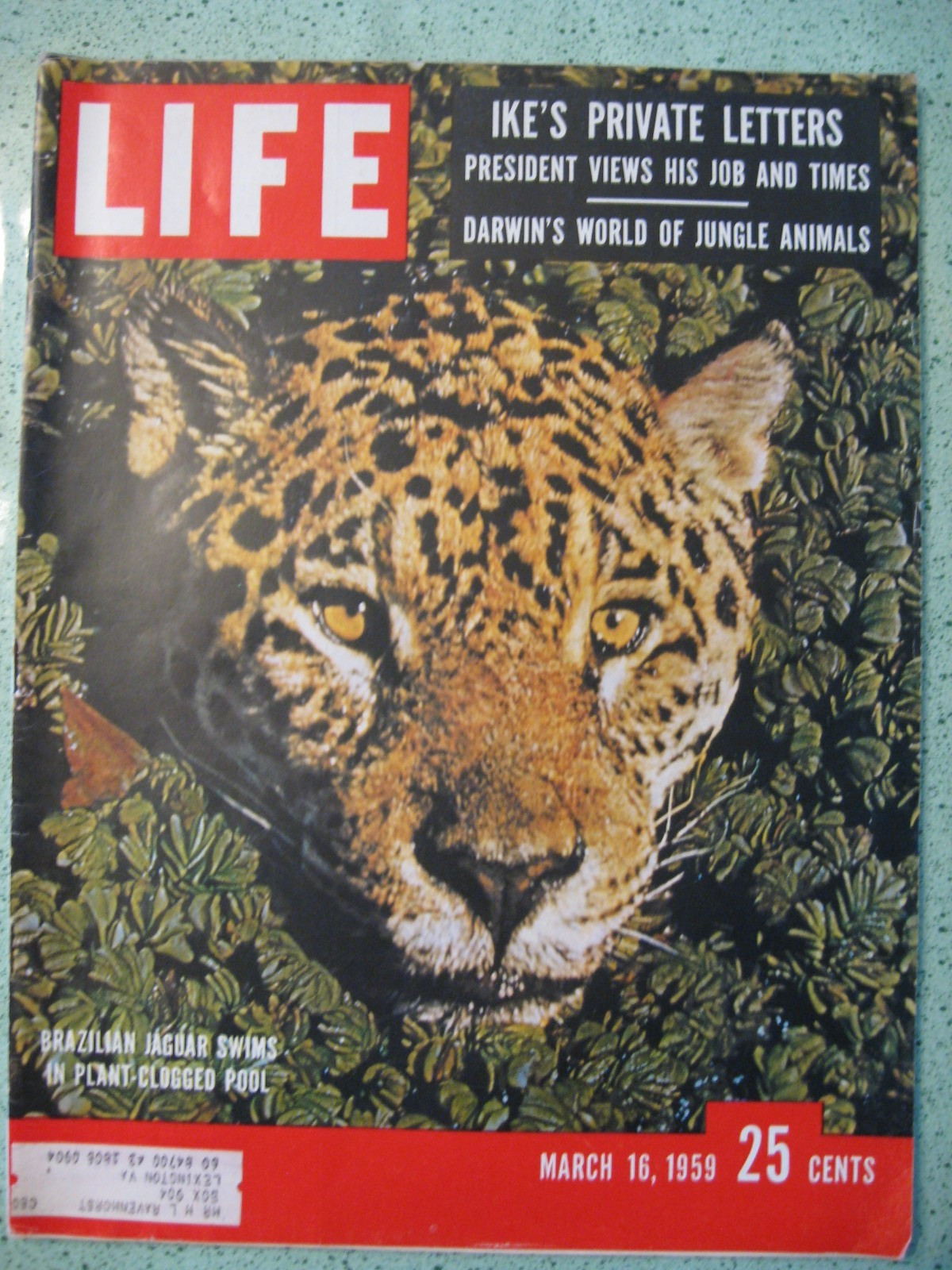 LIFE magazine March 16 1959 Ike Darwin Jaguar Indira Gandhi India Coca-Cola Ad