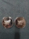 2-Sunshine Silver Eagle Rounds .999 Fine Silver (1 Troy oz. Each)