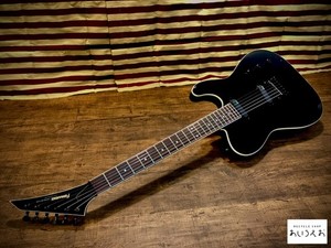 Fernandes Tej | eBay