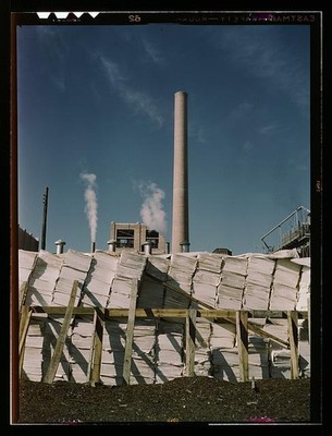 Lufkin Texas Southland Paper Mill 1943 Kraft Pulp Newsprint Production