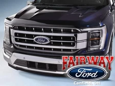 21 thru 25 F-150 F150 OEM Ford Aeroskin Smoke Hood Deflector Shield - Lays Flat