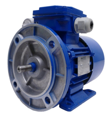 Cantoni Elektromotor SEMh 63-2B + Miflex MKSP-5P Kondensator