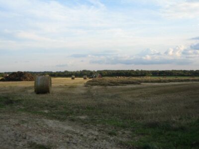 Foto 6x4 Zu viel zu tun Sea Palling Der Traktor ist damit beschäftigt, den St zu ballen c2007