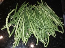 15 Organic Asian Long Bean Seeds Late,Green,Short Variety ,Rare type.US grown.