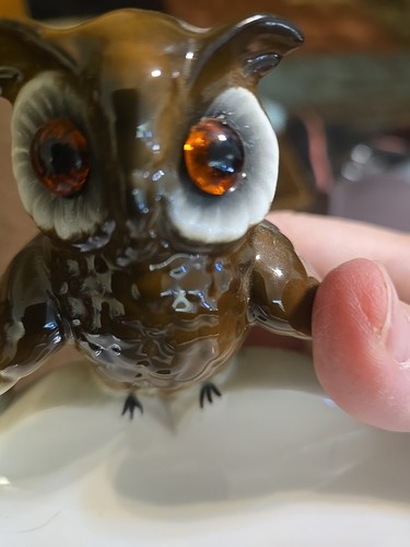 Vintage Weise Eule auf Buch West Germany Gerold Porzellan Bavaria Schmuckschale 6x3x4 - Bild 11 von 11