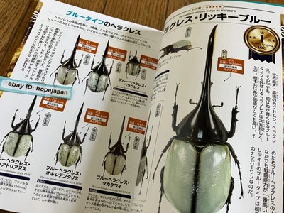 World Beetle The Museum of Rhinoceros Beetles BEST 100 | eBay