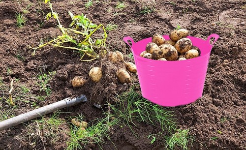 50L Eimer, 20L/40L/70L Flexi Wanne Kunststoff Mülleimer SCHWERLAST Aufbewahrung Küche Garten - Bild 44 von 106
