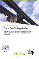 Delmar Thomas C. Stawart | Gare De Cintegabelle | Taschenbuch | Englisch (2026)