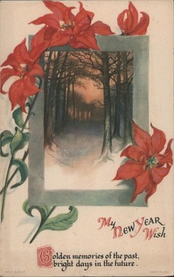 Flowers B. Spadoni New Year Wish, Winter Forest & Poinsettias 1923 Everett, WA