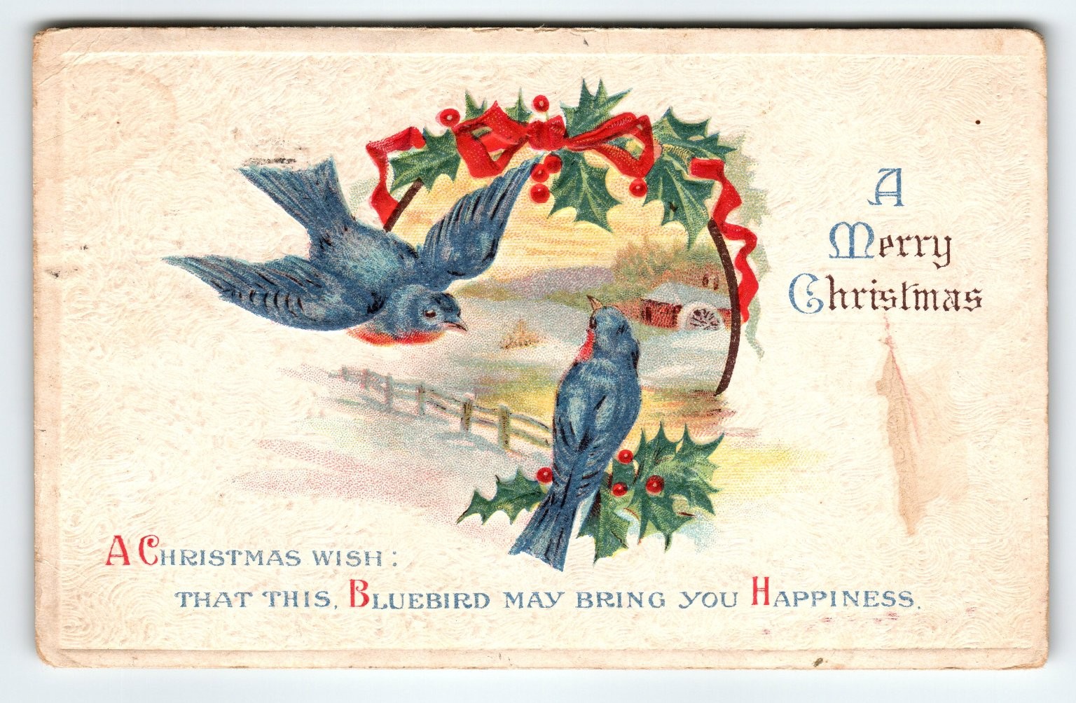 Vintage Christmas Bluebird Postcard with Holly Wreath 1917