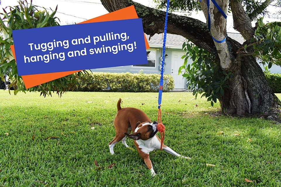 Outdoor Retractable Bungee Hanging Dog Toy, Interactive Tether Tug Toy, 2 ropes  - Image 4 of 4