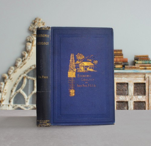 Seltenes antikes altes Buch Geologie Landtechnik Land Edelsteine Öl + Karte 1874 ⭐
