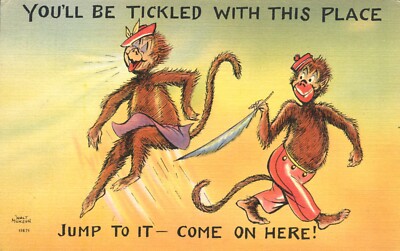 You'll Be Tickled with this Place Chimps Jump to it Walt Munson Comic Postcard