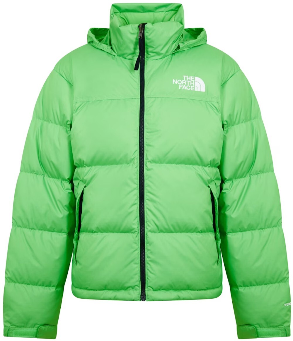 THE NORTH FACE 1996 RETRO NUPTSE CLOROPHYLL MEN PUFFER DOWN