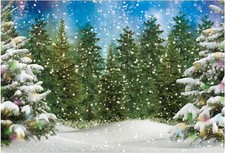 7x5FT Winter Forest Landscape Photography Backdrop Snowy Christmas Pine Tree